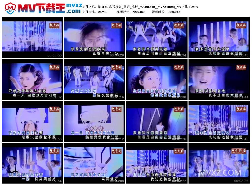 陈晓东-高兴就好_国语_流行_MA108449